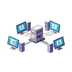 Professional Networking Solutions and Infrastructure Setup